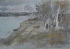 On Currambene Creek